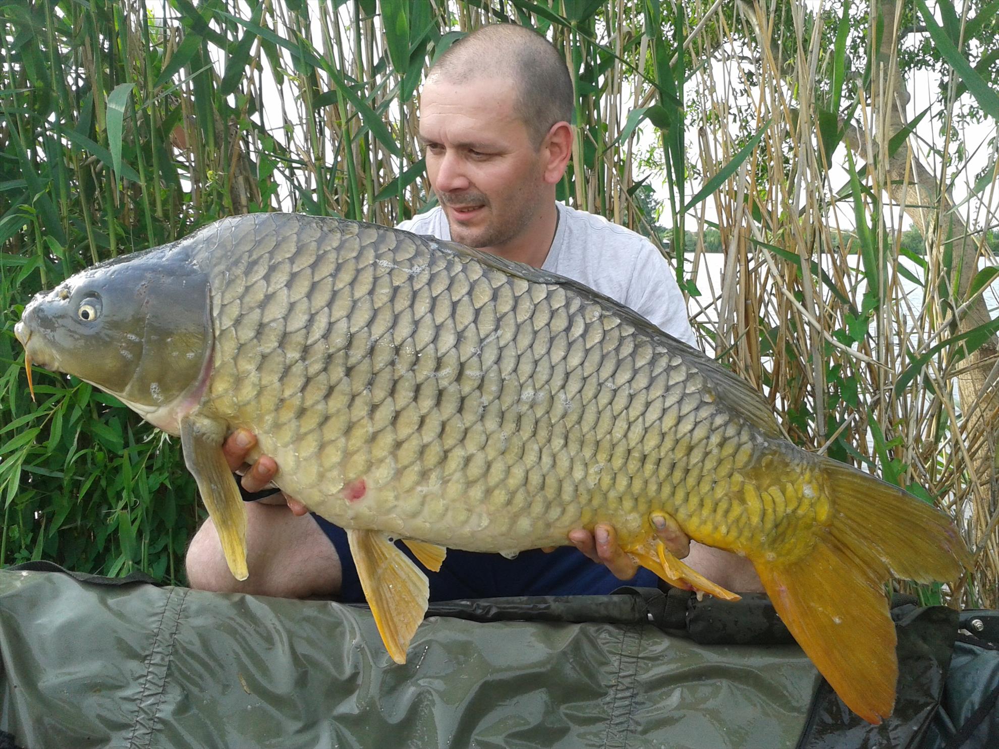 15-17.05.2015 - 20150516172006.jpg